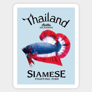 betta splendens Sticker